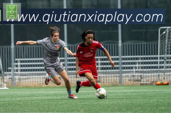 登录器
